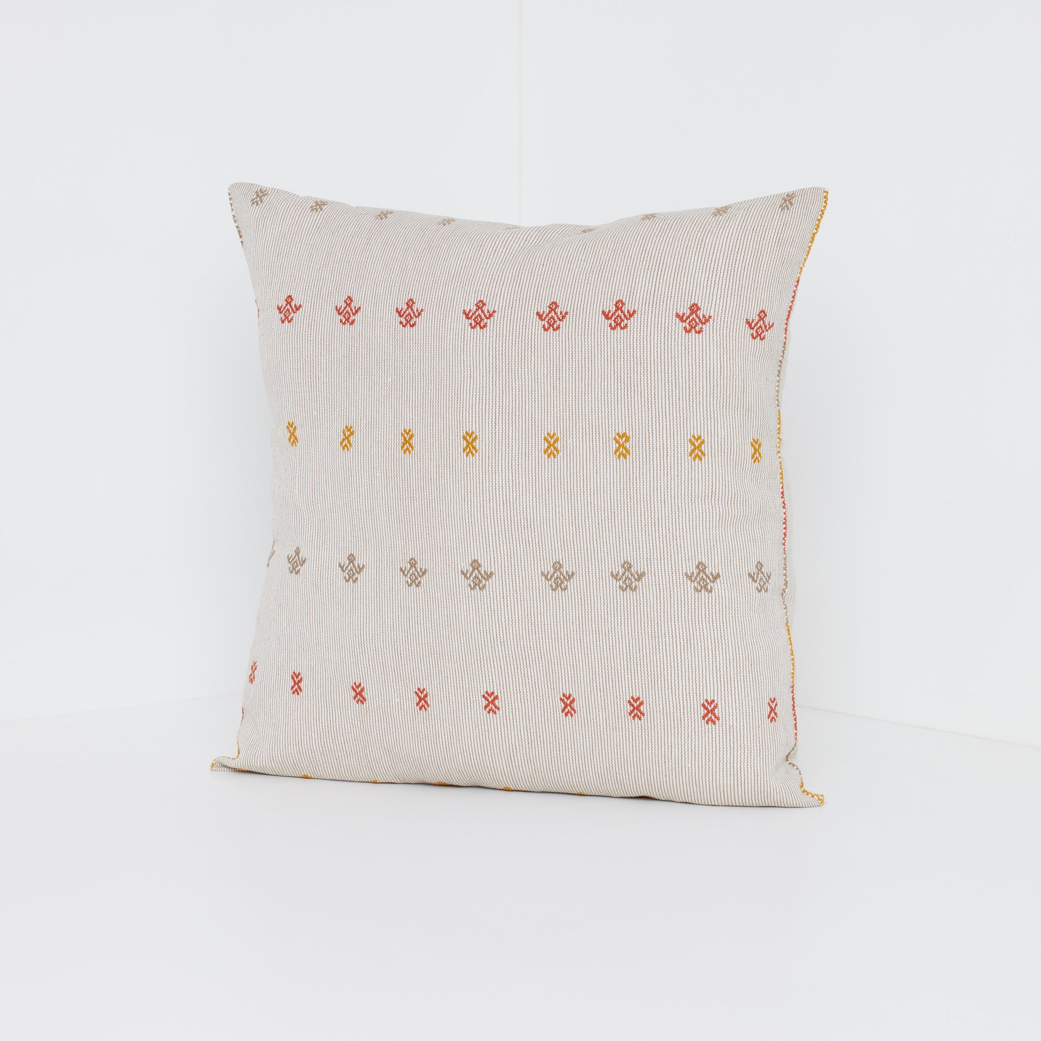 COJIN CHANGOS TIERRA – colorindiomx